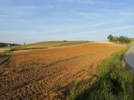 ALLENAMENTI DI NORDIC WALKING