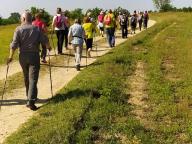 ALLENAMENTI DI NORDIC WALKING
