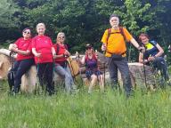 ALLENAMENTI DI NORDIC WALKING