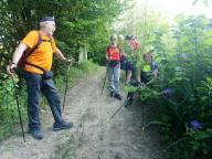 ALLENAMENTI DI NORDIC WALKING