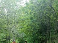 ALLENAMENTI DI NORDIC WALKING