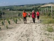 ALLENAMENTI DI NORDIC WALKING