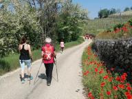 ALLENAMENTI DI NORDIC WALKING