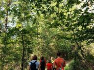 ALLENAMENTI DI NORDIC WALKING