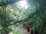 ALLENAMENTI DI NORDIC WALKING