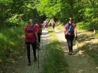 ALLENAMENTI DI NORDIC WALKING