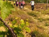 ALLENAMENTI DI NORDIC WALKING