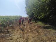 ALLENAMENTO DI NORDIC WALKING