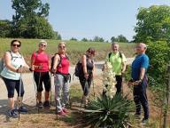 ALLENAMENTI DI NORDIC WALKING