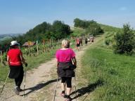 ALLENAMENTI DI NORDIC WALKING