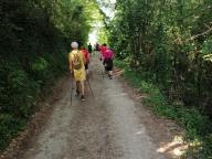 ALLENAMENTI DI NORDIC WALKING