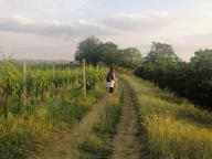 ALLENAMENTI DI NORDIC WALKING