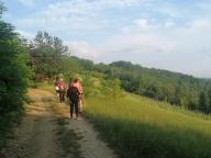 ALLENAMENTI DI NORDIC WALKING