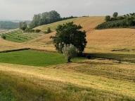 ALLENAMENTO DI NORDIC WALKING