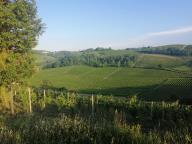 ALLENAMENTI DI NORDIC WALKING