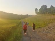 ALLENAMENTI DI NORDIC WALKING