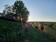 ALLENAMENTI DI NORDIC WALKING