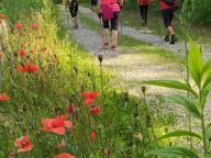 ALLENAMENTI DI NORDIC WALKING