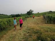 ALLENAMENTI DI NORDIC WALKING