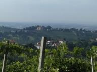 ALLENAMENTI DI NORDIC WALKING