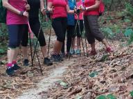 ALLENAMENTI DI NORDIC WALKING