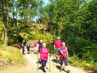 ALLENAMENTI DI NORDIC WALKING