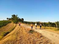 ALLENAMENTI DI NORDIC WALKING