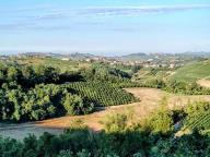 ALLENAMENTO DI NORDIC WALKING