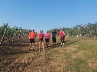 ALLENAMENTI DI NORDIC WALKING