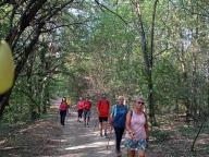 ALLENAMENTO DI NORDIC WALKING