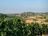 ALLENAMENTO DI NORDIC WALKING
