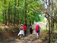 ALLENAMENTO DI NORDIC WALKING