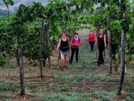 ALLENAMENTI DI NORDIC WALKING