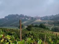 ALLENAMENTI DI NORDIC WALKING