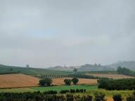 ALLENAMENTI DI NORDIC WALKING