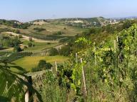 ALLENAMENTO DI NORDIC WALKING