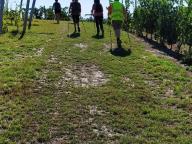ALLENAMENTO DI NORDIC WALKING