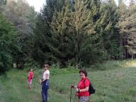 ALLENAMENTI DI NORDIC WALKING