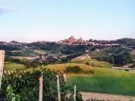 ALLENAMENTI DI NORDIC WALKING