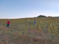 ALLENAMENTO DI NORDIC WALKING