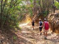 ALLENAMENTI DI NORDIC WALKING