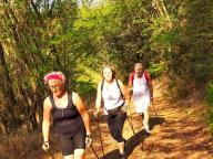 ALLENAMENTI DI NORDIC WALKING