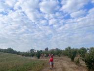 ALLENAMENTI DI NORDIC WALKING