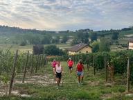 ALLENAMENTI DI NORDIC WALKING