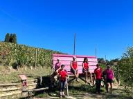 ALLENAMENTI DI NORDIC WALKING