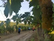 ALLENAMENTI DI NORDIC WALKING