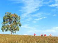 ALLENAMENTI DI NORDIC WALKING