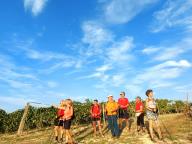 ALLENAMENTI DI NORDIC WALKING