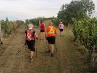 ALLENAMENTI DI NORDIC WALKING