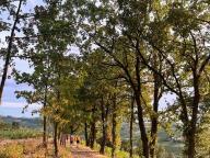 ALLENAMENTI DI NORDIC WALKING